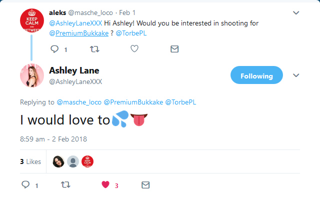 ashleylane_tweet1.jpg