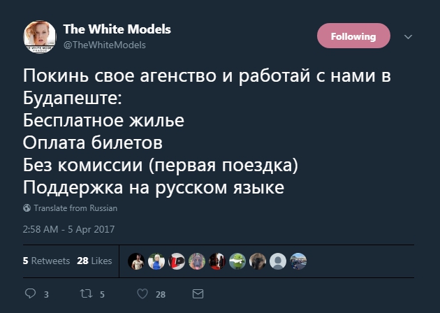 TheWhiteModels.jpg