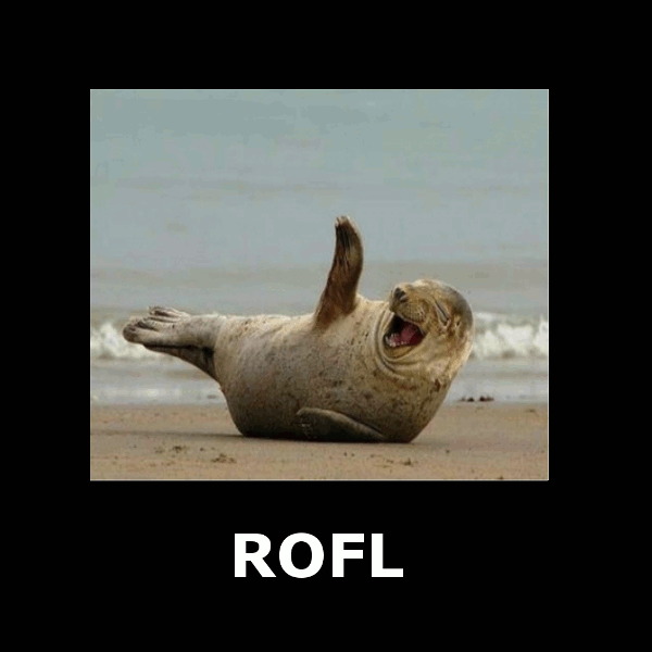 rofl_3.png