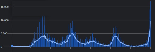 Madrid Cases (2).jpg