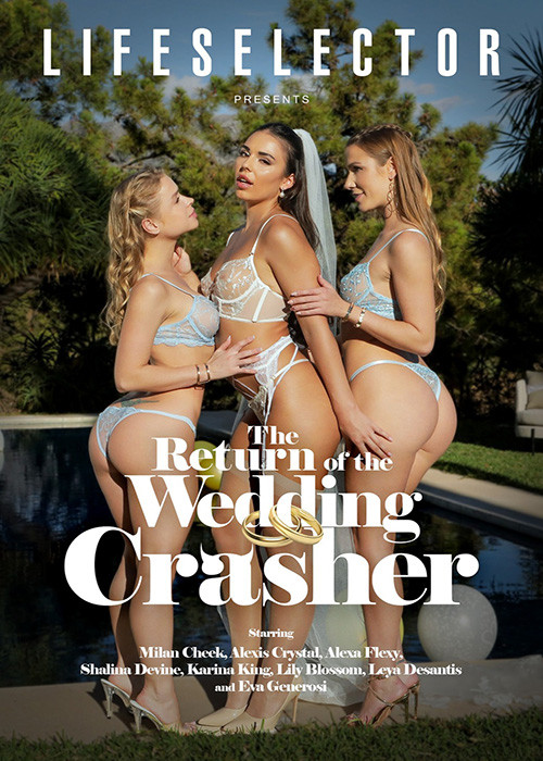 The_return_of_the_wedding_crasher.jpg